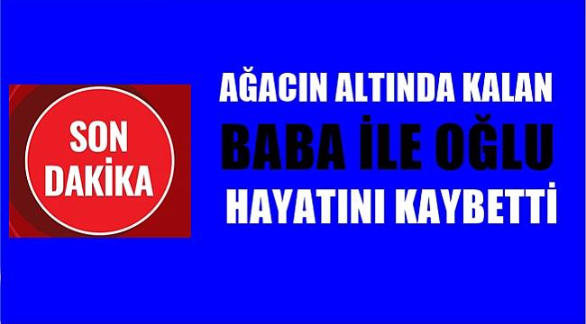 Acı olay! Ağacın altında kalan baba ile oğlu vefat etti