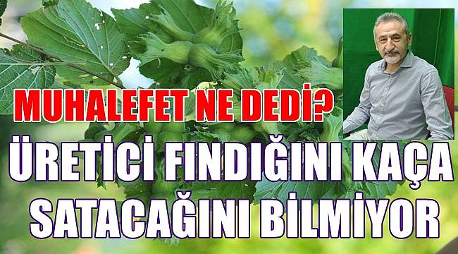 Adıgüzel; Üretici fındığını kaça satacağını anlamadı