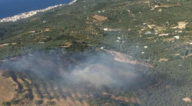 AFAD&#039;dan &#039;orman&#039; genelgesi