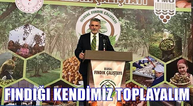Akça; Fındığı kendimiz toplayalım