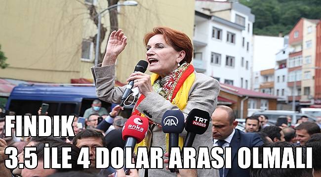 Akşener: Fındık fiyatı 3.5 ile 4 dolar arası olmalı