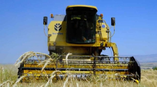 Arpayı bulduk, sıra buğdayda