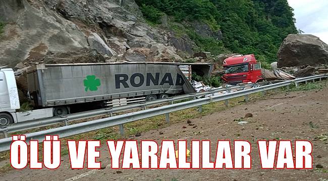 Artvin'de kayalıklar yola düştü ölü ve yaralılar var