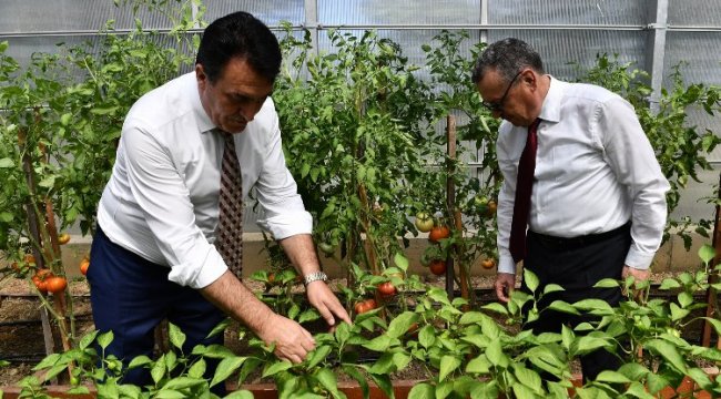 Ata mirası Bursa Osmangazi’de yeşeriyor