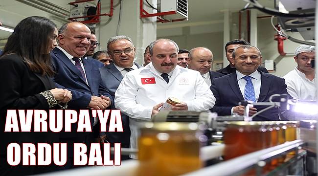 Avrupa'ya Türk Balı Ordu'da ihraç ediliyor