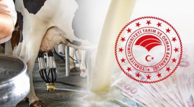 Bakan Kirişci duyurdu... 833,6 milyon TL bugün hesaplarda