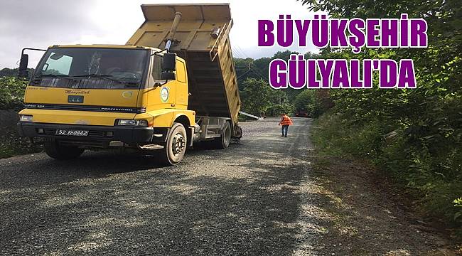 Büyükşehir Gülyalı'da