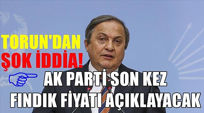 CHP'li Torun : AK Parti son kez fındık fiyatı açıklayacak
