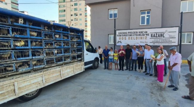 Çiftçiye kaz ve yem desteği