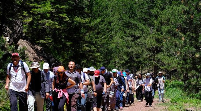 Doğaseverler Konya’nın yeşiline hayran kaldı