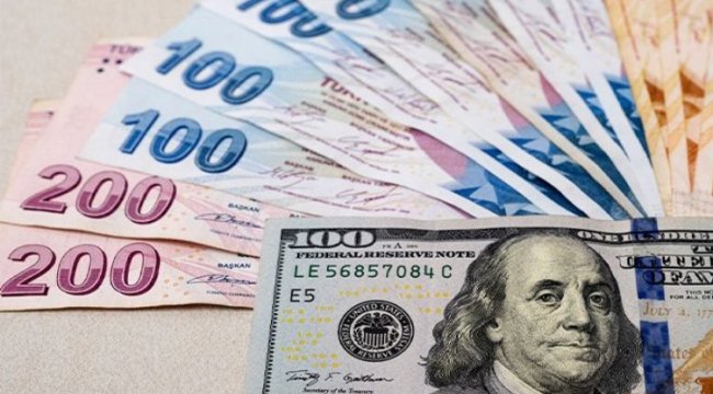 Dolar/TL kuru rekoru kırdı