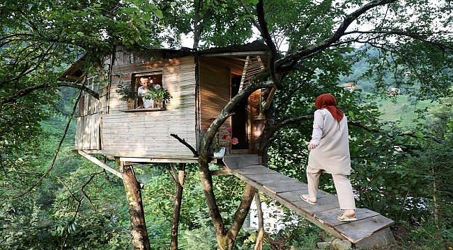 Dört ağacın gövdesine bağlı, yerden 20 metre yüksekte ev yaptı