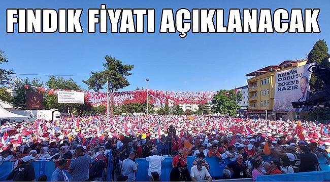 Erdoğan Ordu mitinginde fındık fiyatını açıklayacak
