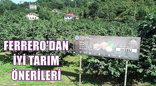 Ferrero Fındıktan hasat öncesi iyi tarım önerileri