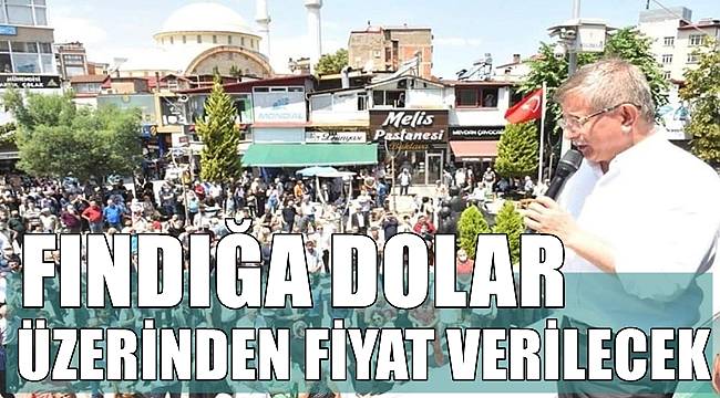 Fındığa dolar üzerinden fiyat verilecek