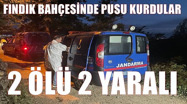 Fındık bahçesinde cinayet;  2 ölü 2 yaralı