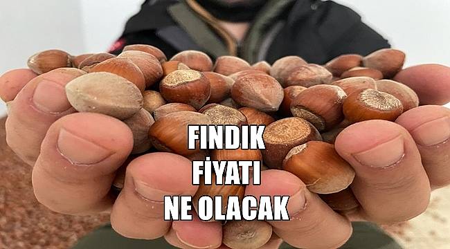 Fındık fiyatı 23 Temmuz Cumartesi günü