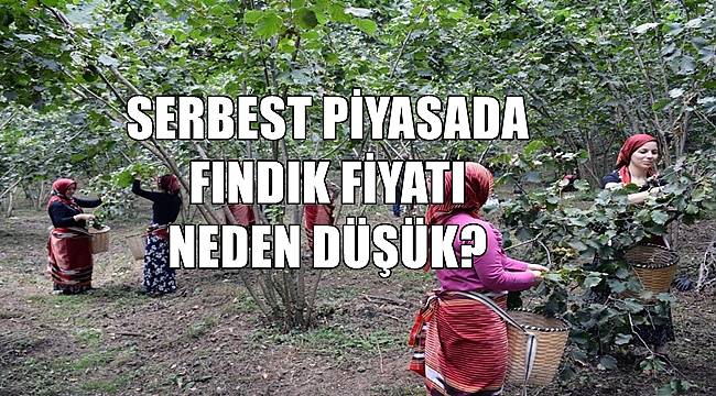 Fındık fiyatı 25 Temmuz Pazartesi günü