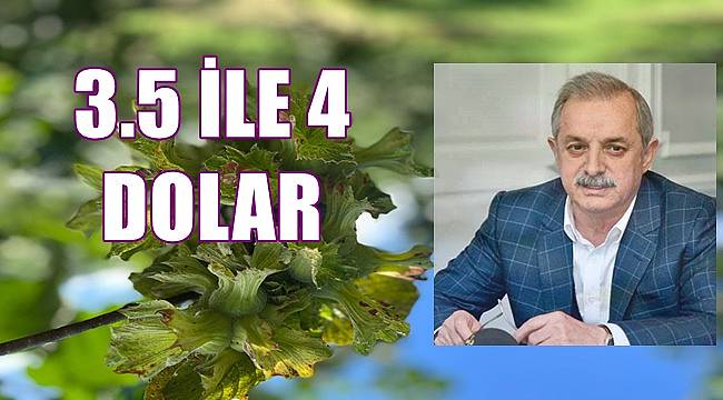 Fındık fiyatı 3.5 ile 4 dolar açıklanırsa herkes kazanır