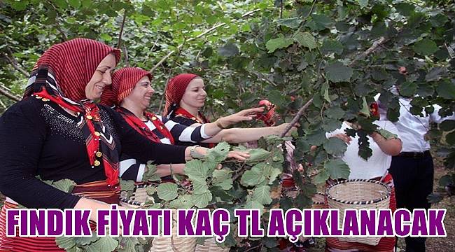 Fındık fiyatı kaç TL açıklanacak?