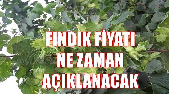 Fındık fiyatında şok sürüyor 5 Temmuz Salı fındık fiyatı