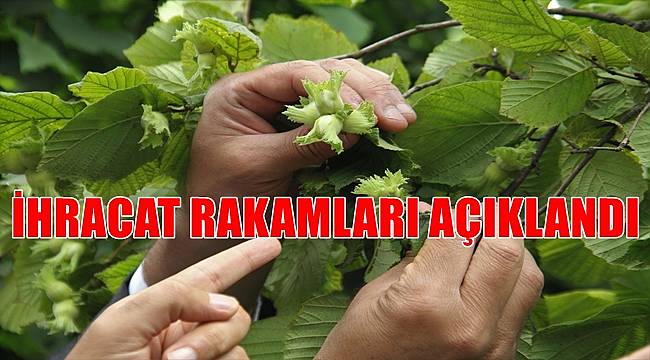 Fındık ihracatı 1 milyar 810 milyon dolar kazandırdı