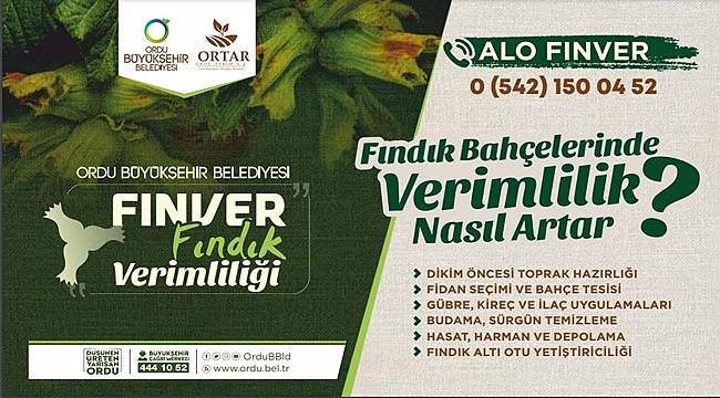 Fındık verimliliğin arttırılması için telefon hattı kuruldu