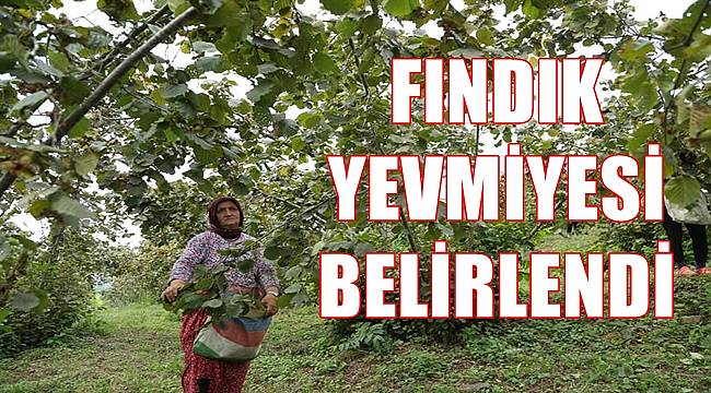 Fındık yevmiyesi açıklandı