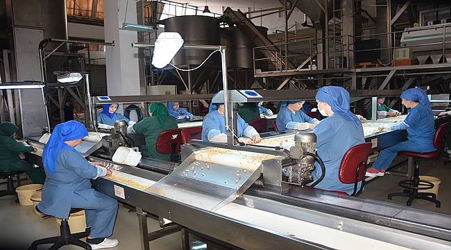 Fiskobirlik'in 163 bin üyesi var