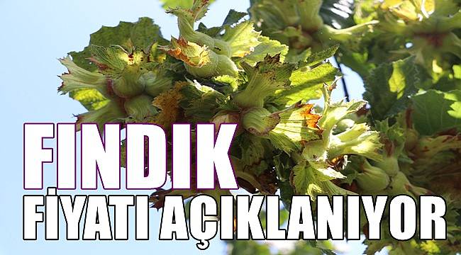 Fındık fiyatı bugün açıklanıyor