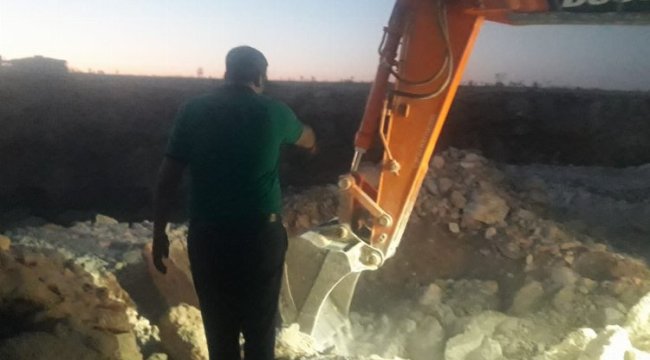 Gaziantep'te molozların altında sıkışan yavru köpekler kurtarıldı