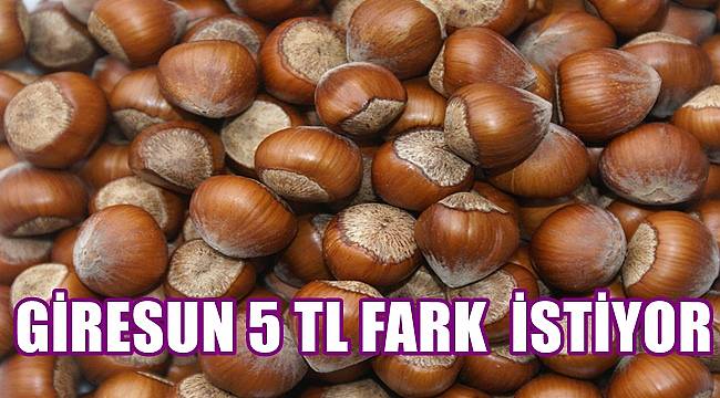 Giresun Fındığı için 5 TL fark isteniyor
