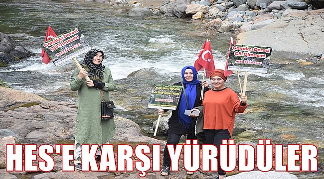 HES istemiyorlar, yürüyüşle  protesto ettiler