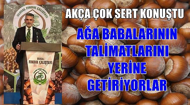 Fındık İtalya ve İspanya'da kuraktan büyük  zarar gördü