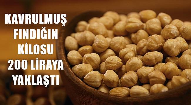 Kavrulmuş iç fındık fiyatı 3 Temmuz Pazar