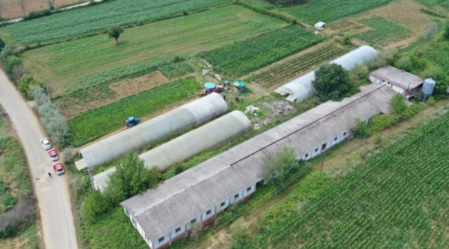 Kocaeli'de üreticilere yüzde 50 hibeli sera desteği