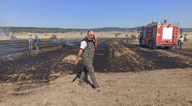 Kütahya'da kıvılcım 2 dekarlık alanı kül etti