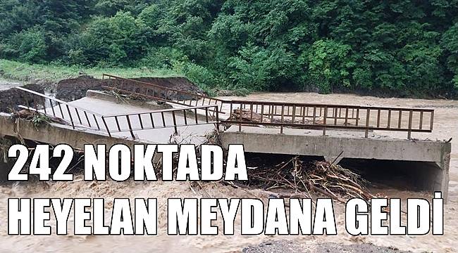 Ordu'da 242 noktada heyelan meydana geldi