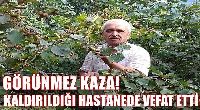 Ordu'da ağaçtan düşen Hakkı Asma vefat etti