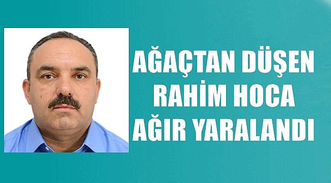 Ordu'da ağaçtan düşen Rahim Hoca ağır yaralandı