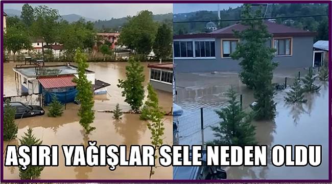 Ordu'da aşırı yağışlar sele neden oldu