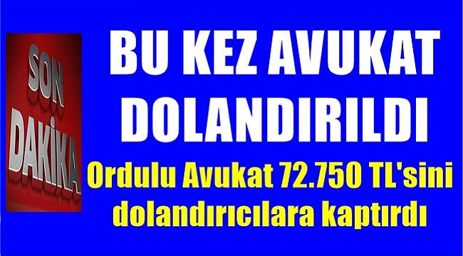Ordu'da avukat 72 bin TL dolandırıldı