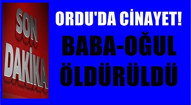 Ordu'da  baba oğul hayatını kaybetti
