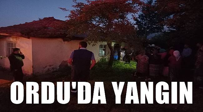 Ordu'da çıkan yangında maddi hasar oluştu