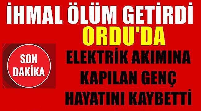 Ordu'da elektrik akımına kapılan genç hayatını kaybetti
