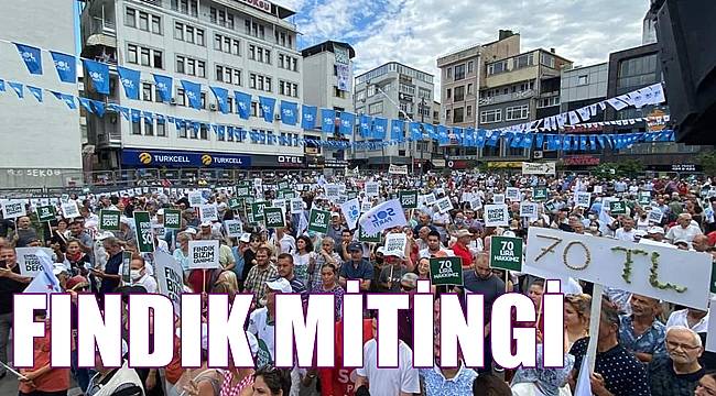 Ordu'da fındık mitingi düzenlendi