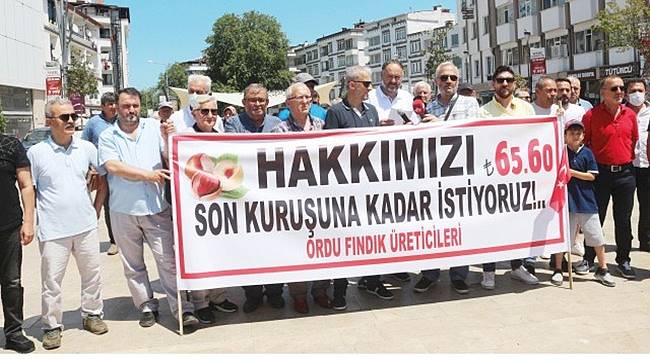 Ordu'da fındık üreticisi 70 TL istiyor