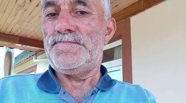 Ordu 'da ıhlamur toplarken elektrik çarpan kişi hayatını kaybetti.