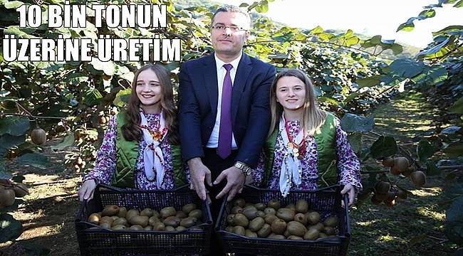 Ordu'da kivide hedef 10 bin tonun üzerine çıkmak