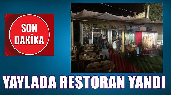 Ordu'da yaylada restoranda yangın çıktı